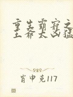 重生霸宠之摄政王爷太凶猛