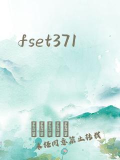 fset371