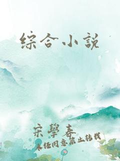 综合小说