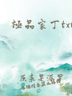 极品家丁txt