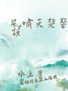 风啸天楚馨月小说