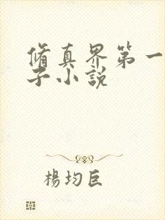 修真界第一病秧子小说