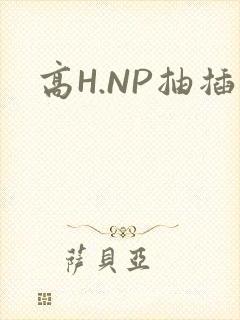 高H.NP抽插