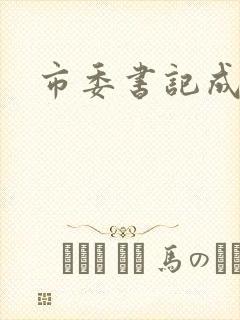 市委书记成长记
