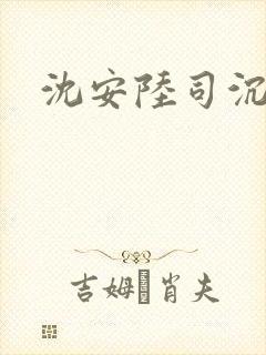 沈安陆司沉小说