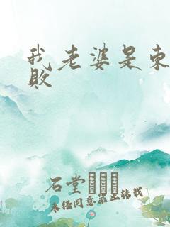 我老婆是东方不败