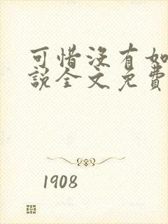 可惜没有如果小说全文免费阅读