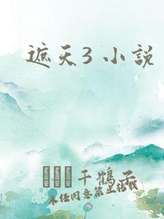 遮天3 小说