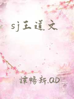 sj王道文