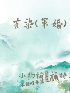 有染(军婚)