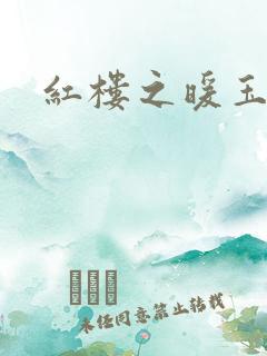 红楼之暖玉