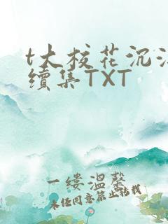 t大校花沉浮录续集TXT