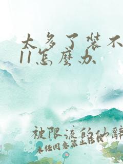 太多了装不下h11怎么办