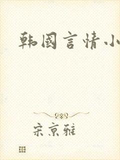 韩国言情小说