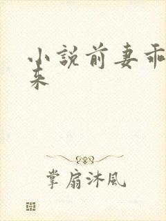 小说前妻乖乖回来