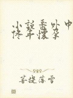 小说番外中结局佟年怀孕