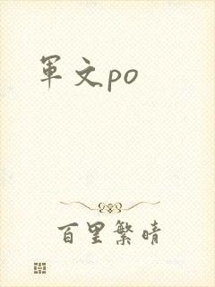 军文po
