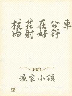 校花在公车上被内射好舒