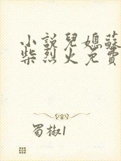 小说儿媳苏玥干柴烈火免费阅读