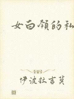 女白领的私生活