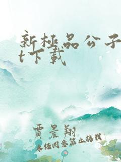 新极品公子txt下载