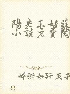 阳光正好苏玥玥小说免费阅读无弹窗