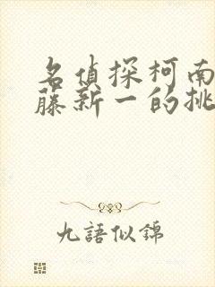 名侦探柯南给工藤新一的挑战书