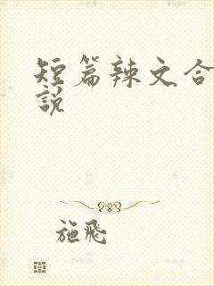 短篇辣文合集小说