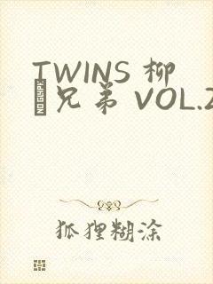 TWINS 柳澤兄弟 VOL.2