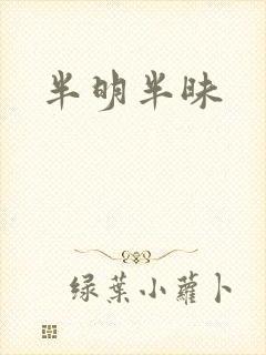 半明半昧