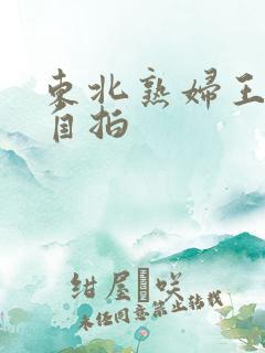 东北熟妇王梅娟自拍