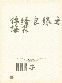 锦绣良缘之驿寄梅花