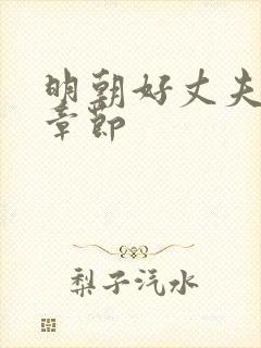 明朝好丈夫最新章节