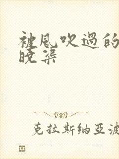 被风吹过的夏天晓渠