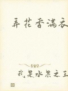 弄花香满衣下载