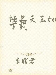 极品天王txt下载