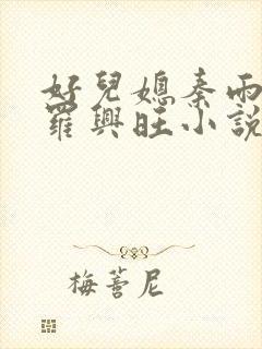 好儿媳秦雨罗明罗兴旺小说