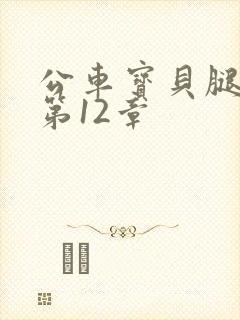 公车宝贝腿开点第12章