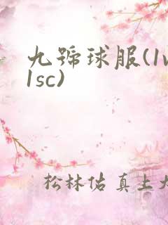 九号球服(1v1sc)