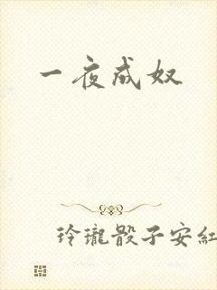 一夜成奴