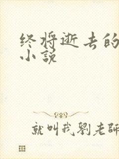 终将逝去的青春小说