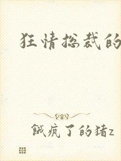 狂情总裁的囚妻