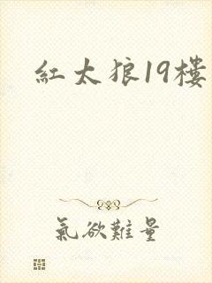 红太狼19楼