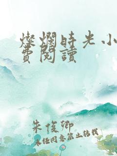 灿烂时光小说免费阅读