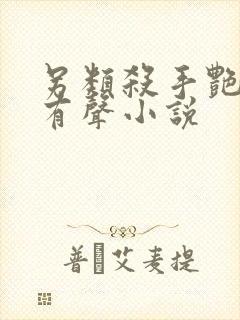 另类杀手艳福星有声小说