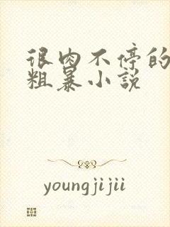 很肉不停的做很粗暴小说