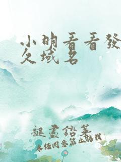 小明看看发布永久域名