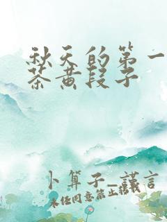 秋天的第一杯奶茶黄段子