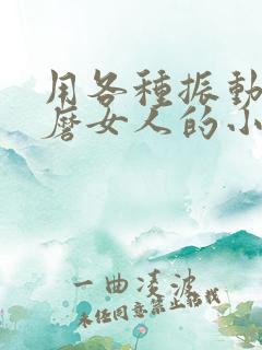 用各种振动器折磨女人的小说