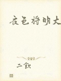 夜色将明大结局